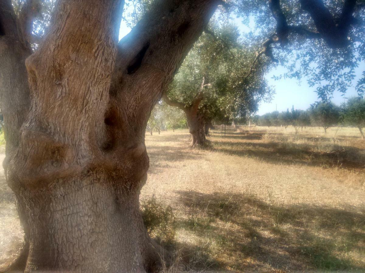 Fenicepugliese San Vito dei Normanni Εξωτερικό φωτογραφία