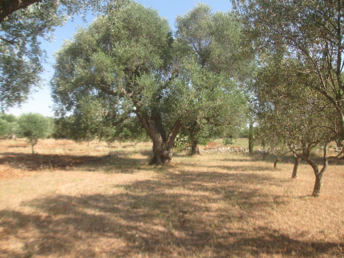 Fenicepugliese San Vito dei Normanni Εξωτερικό φωτογραφία
