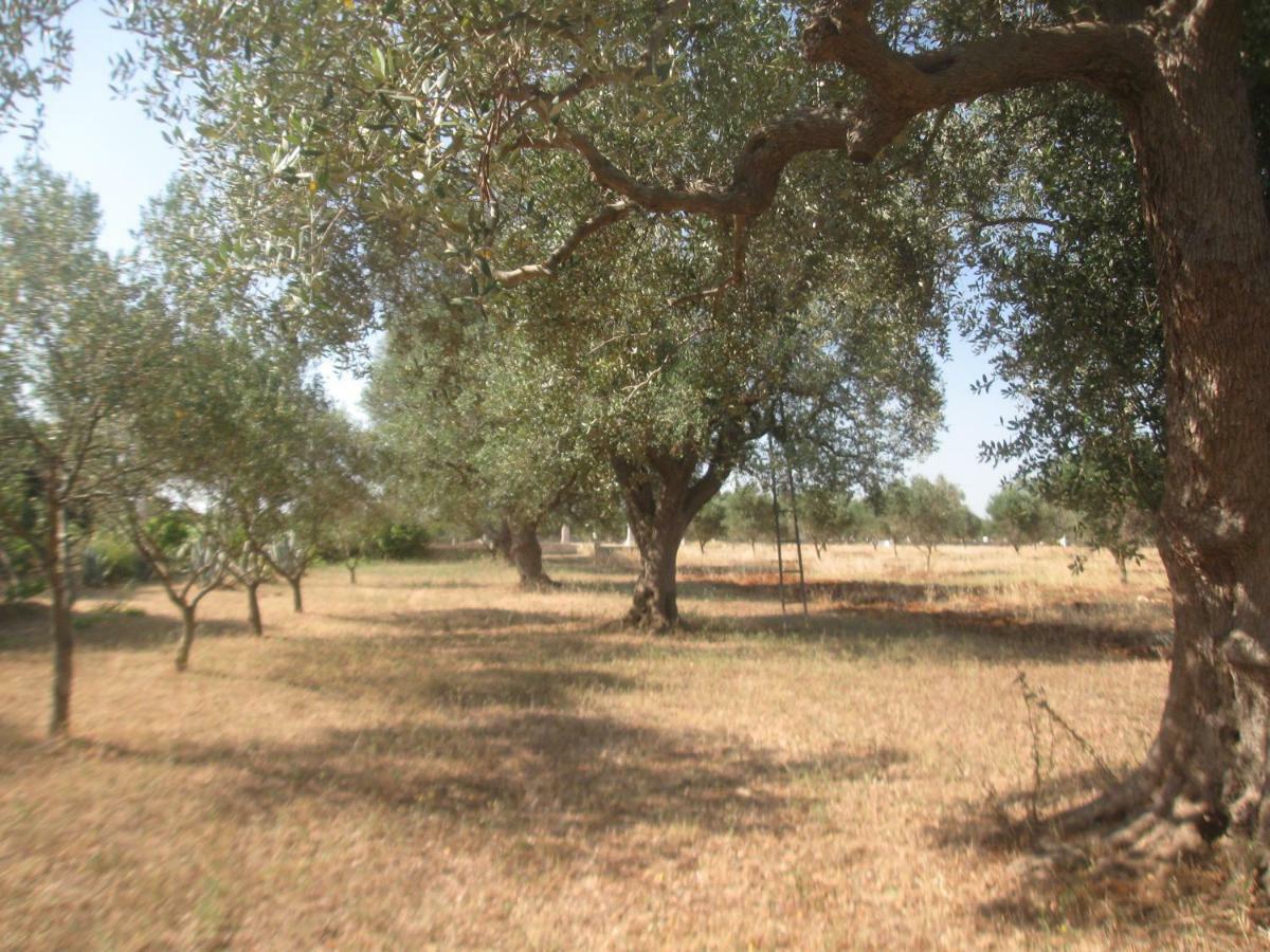 Fenicepugliese San Vito dei Normanni Εξωτερικό φωτογραφία